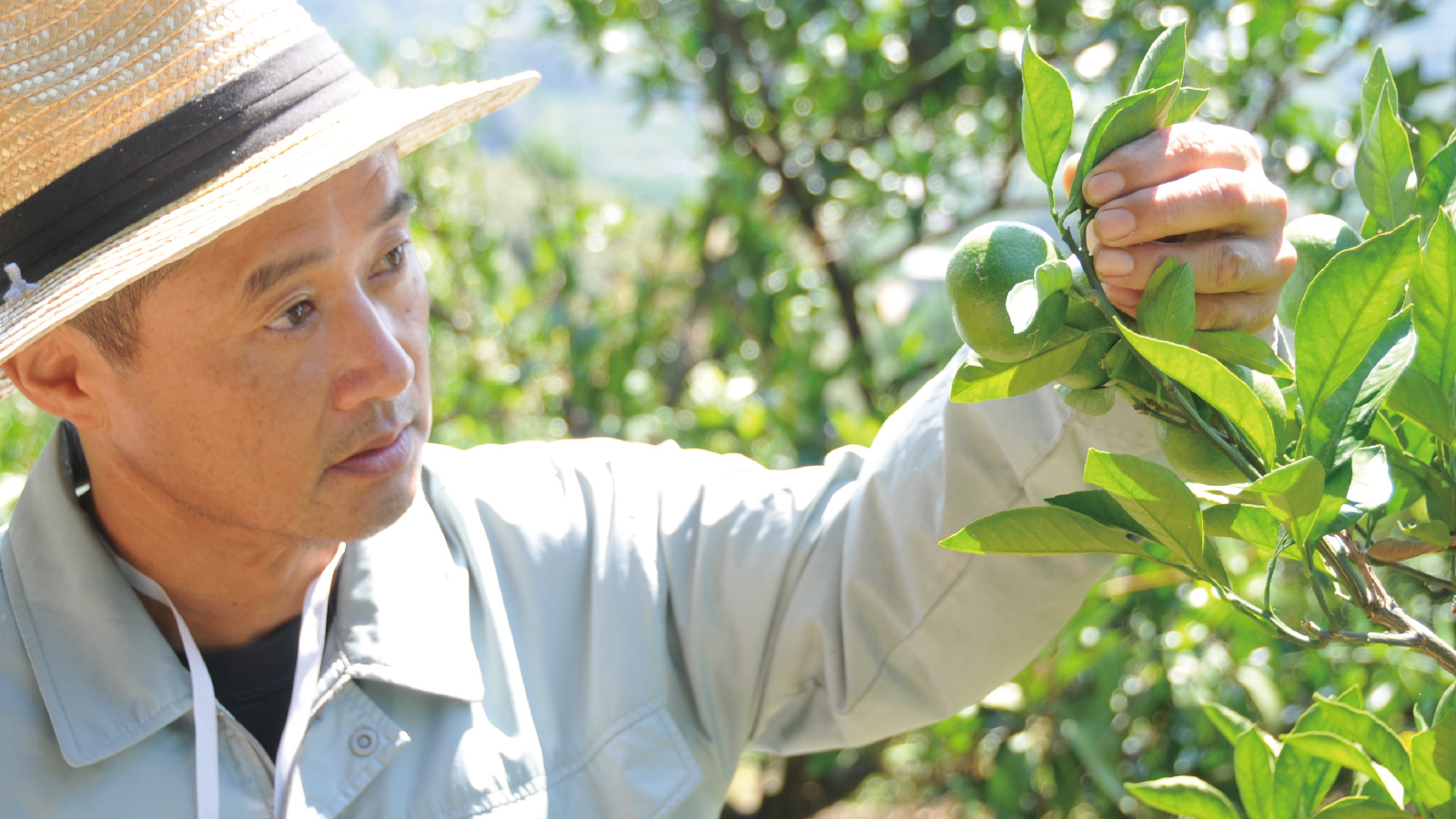 畑で話す生産者と社員のイメージ